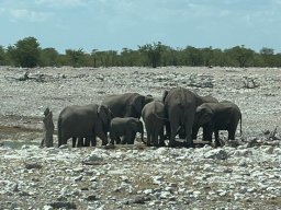 Ethosha Nationalpark